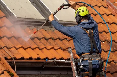 Démoussage et hydrofuge de toiture à Rognaix